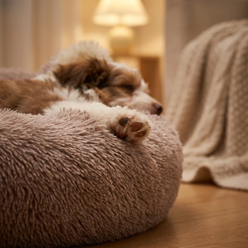 Sensory Pet Haven | Calming Orthopedic Faux Fur Bed