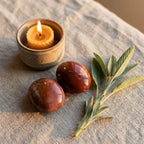 The Eternal Hug | Natural Petrified Wood Sensory Palm Stone for Grounding