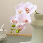 360-degree view of realistic artificial butterfly orchid showing lifelike petals and adjustable stems - The Silent Bloom video