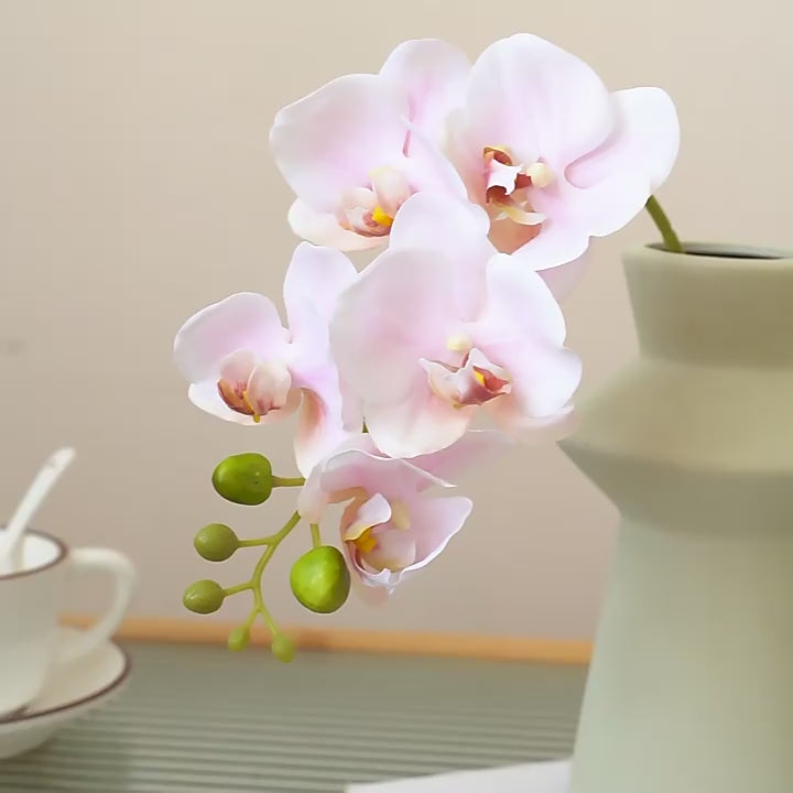360-degree view of realistic artificial butterfly orchid showing lifelike petals and adjustable stems - The Silent Bloom video